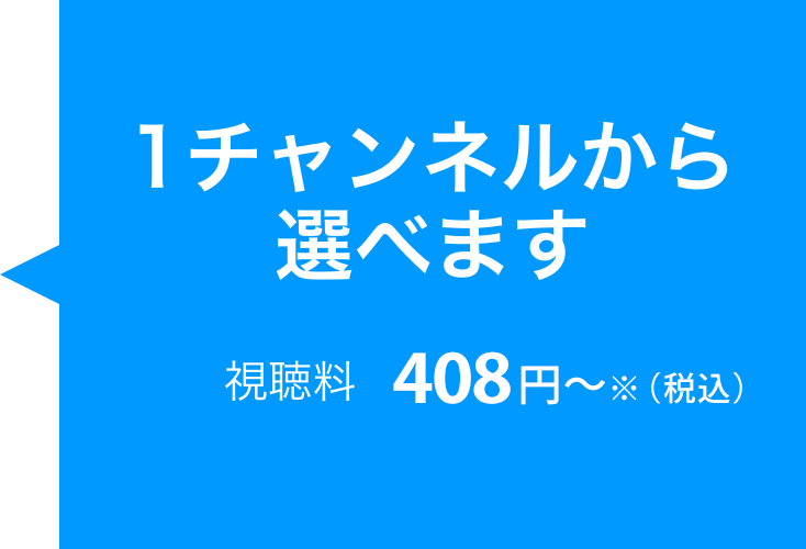 1チャンネルから選べます 視聴料 408円〜※（税込）